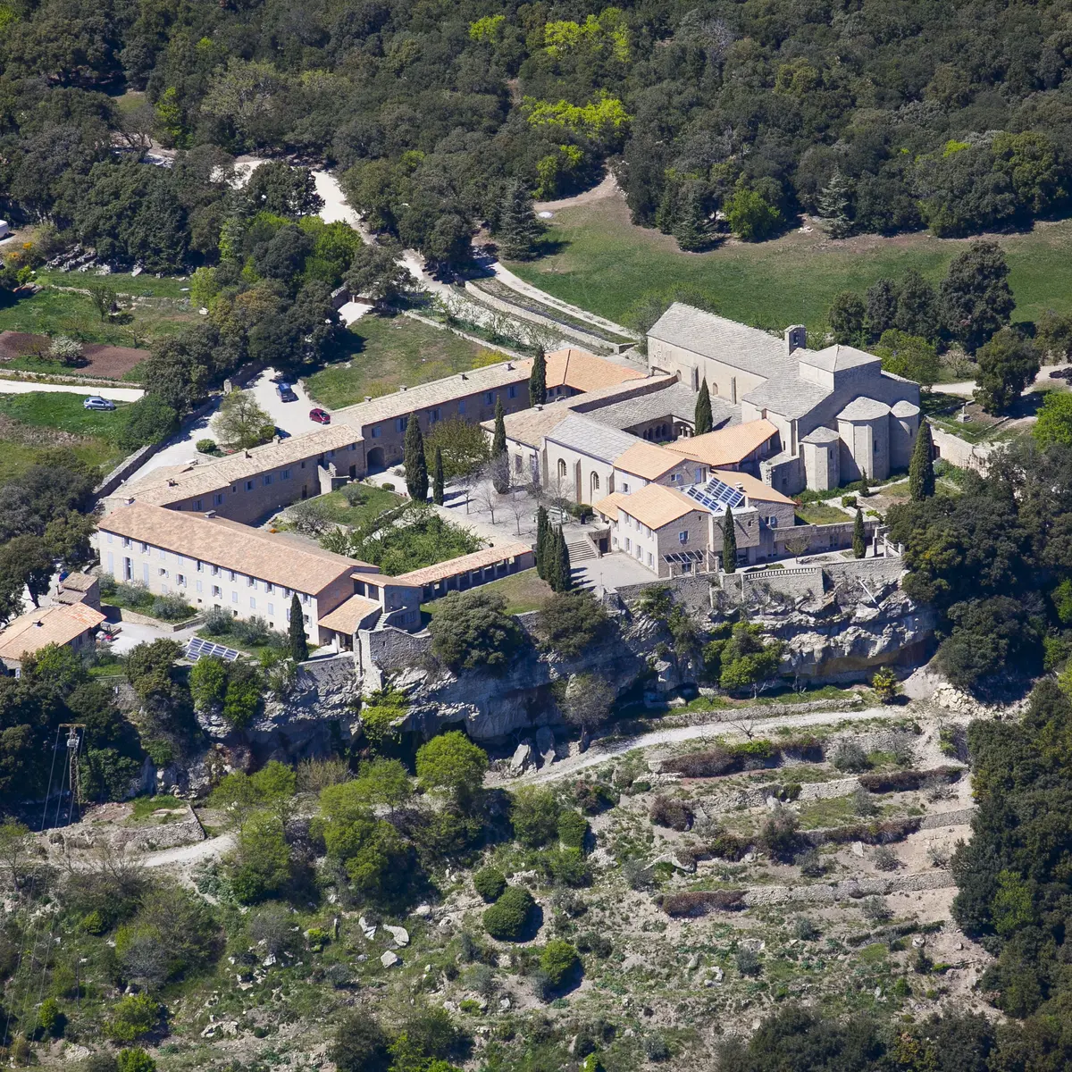 La forêt du Prieuré
