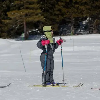 Ski nordique à beille