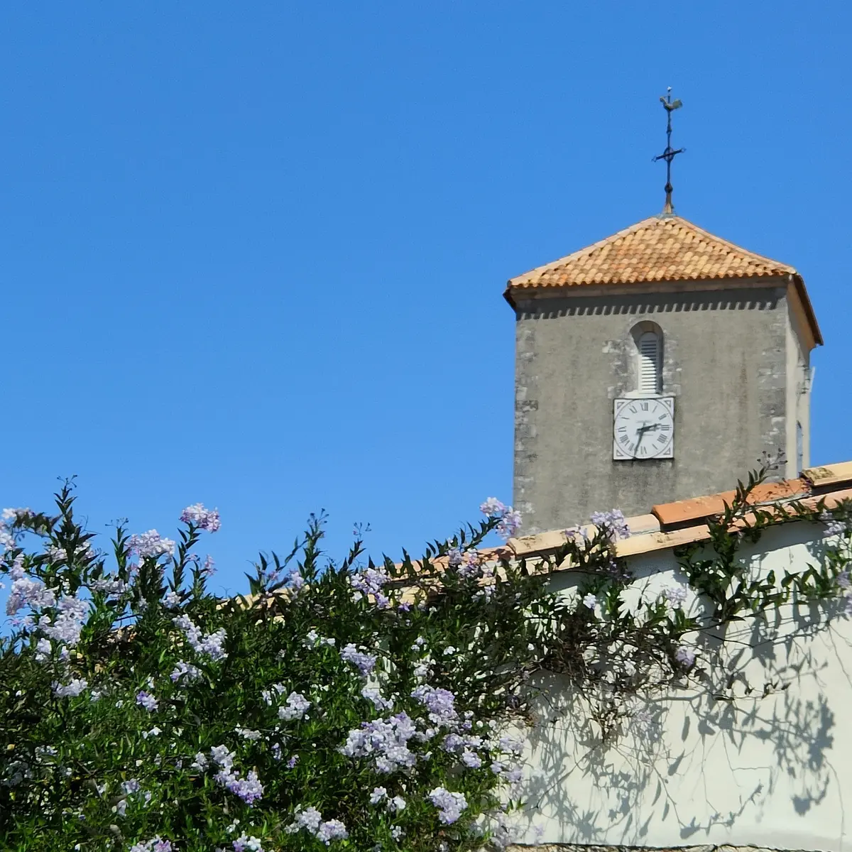 Eglise Sainte-Catherine - La Flotte