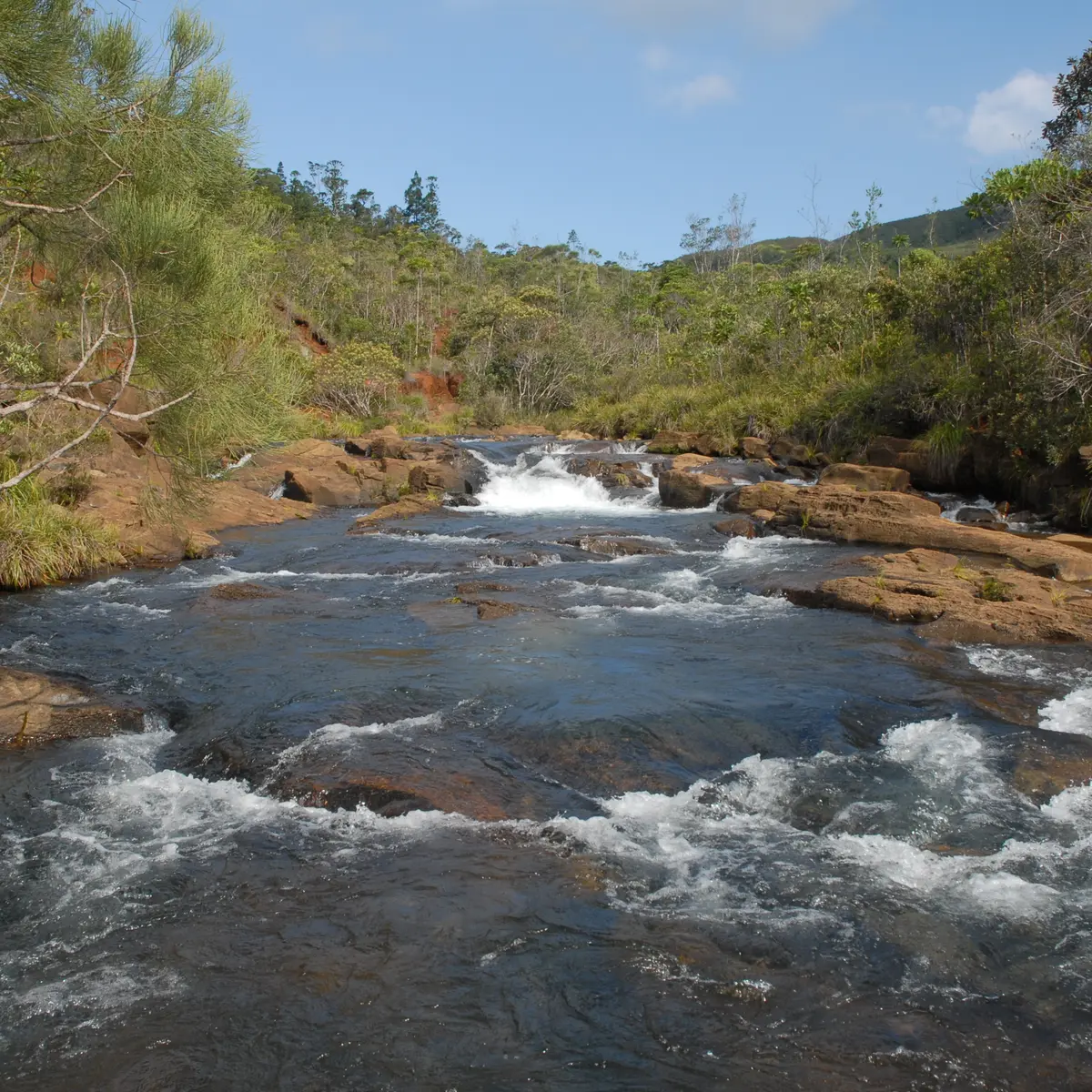 Le creek des Électriques