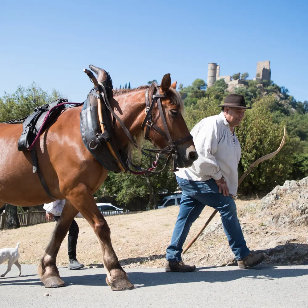 Fête du Moulin Grimaud