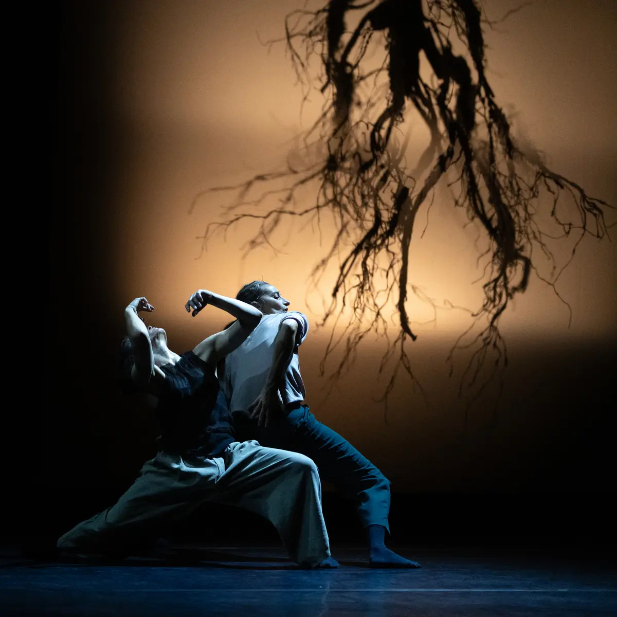 Plateforme Studiotrade_Cannes - La Bocca