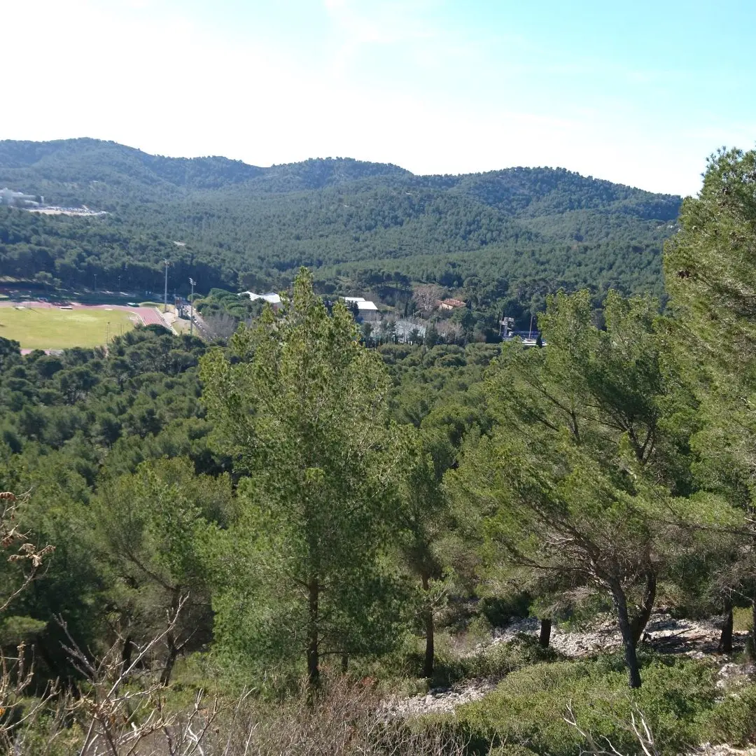 Domaine de Luminy