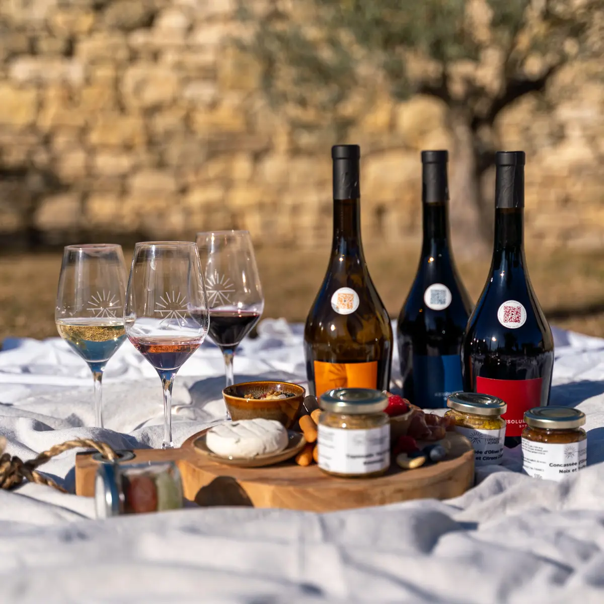 Introduction à l'Oenologie dégustation vins et planche gourmande aux Terrasses d'Adrien_Sannes