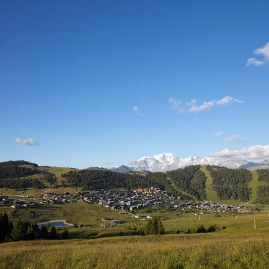 col-des-saisies-ete