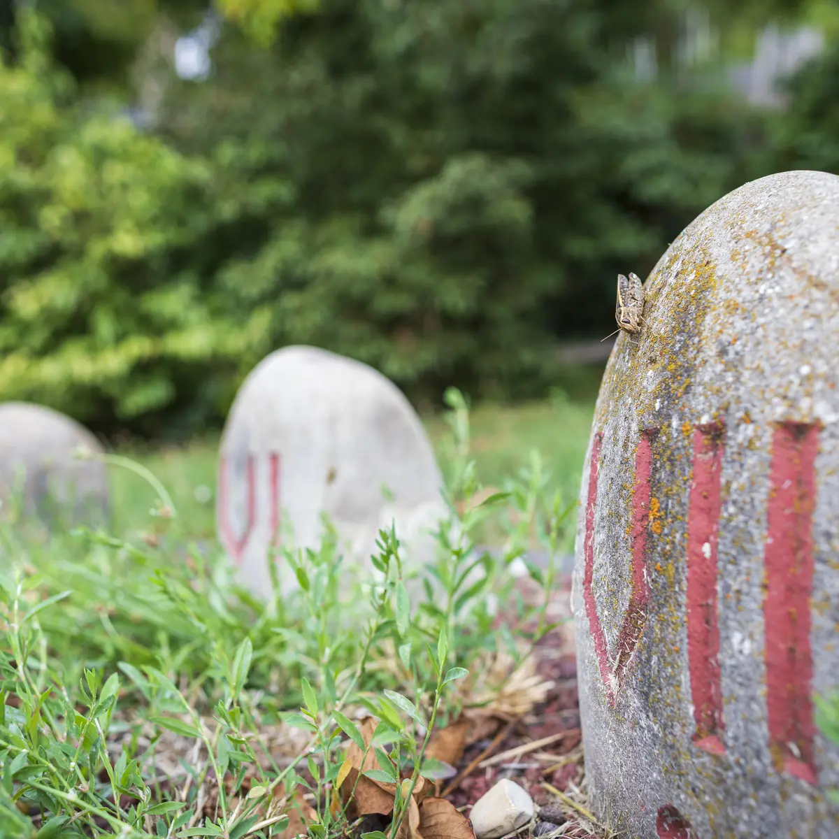 cadran solaire annalématique