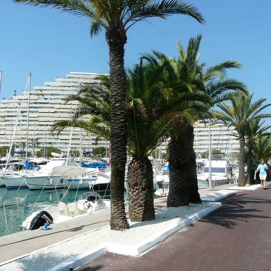 Promenade croisette