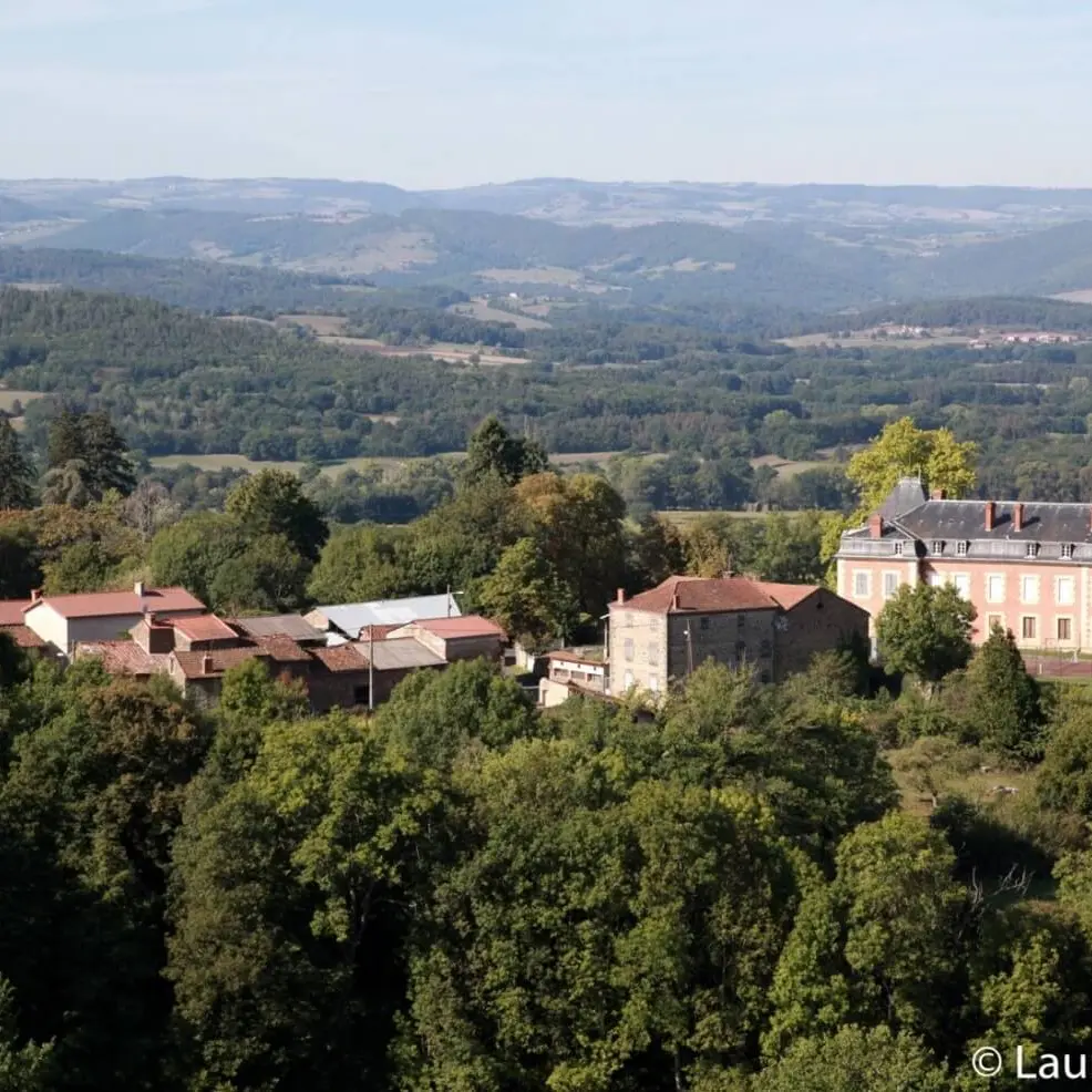 Vue sur le château de Cumignat-Javaugues
