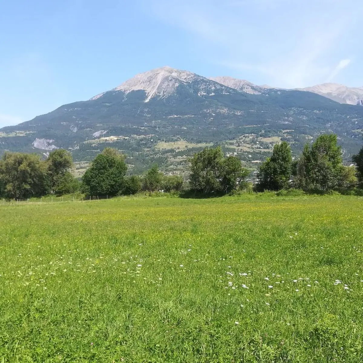 Vue sur le Mont Guillaume