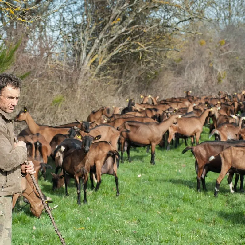 Gaec de la Bellimure