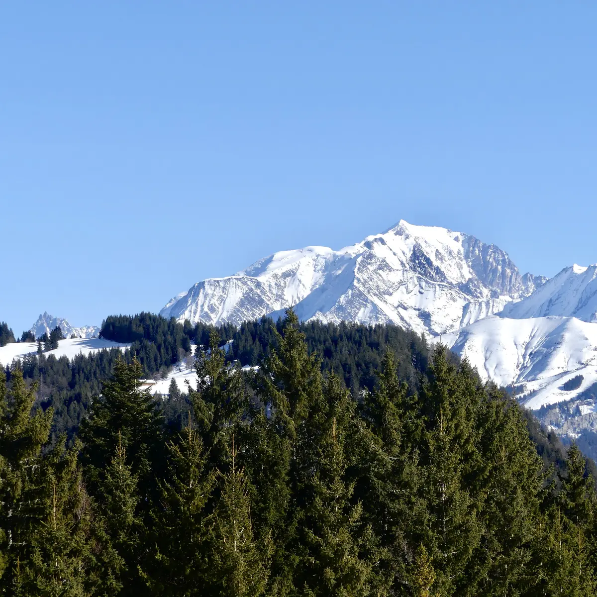 Vue Mont-Blanc