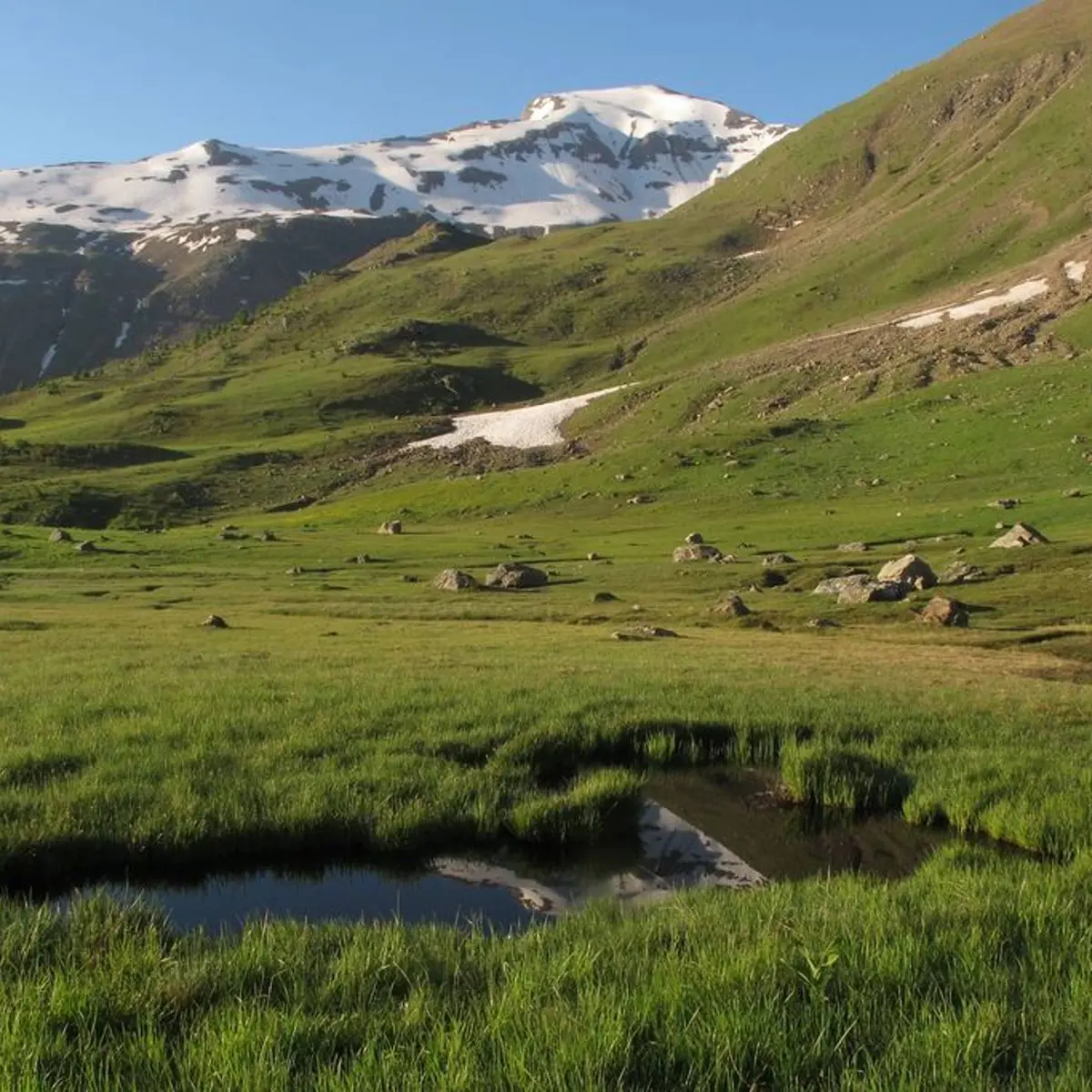 Alpage au Saut du Laire
