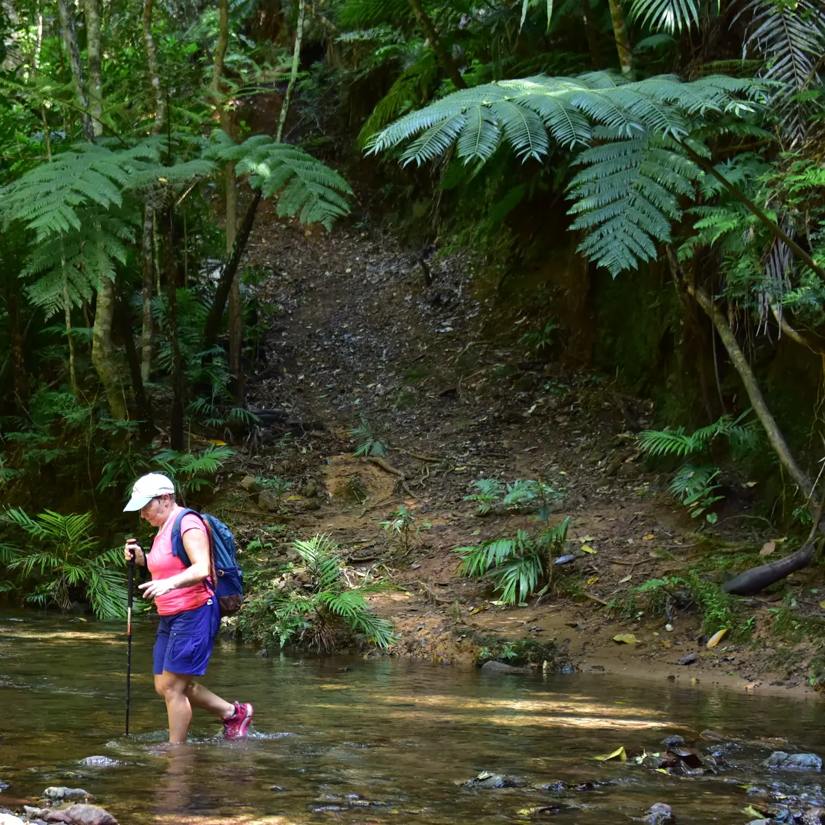 Creek du Camp Tell