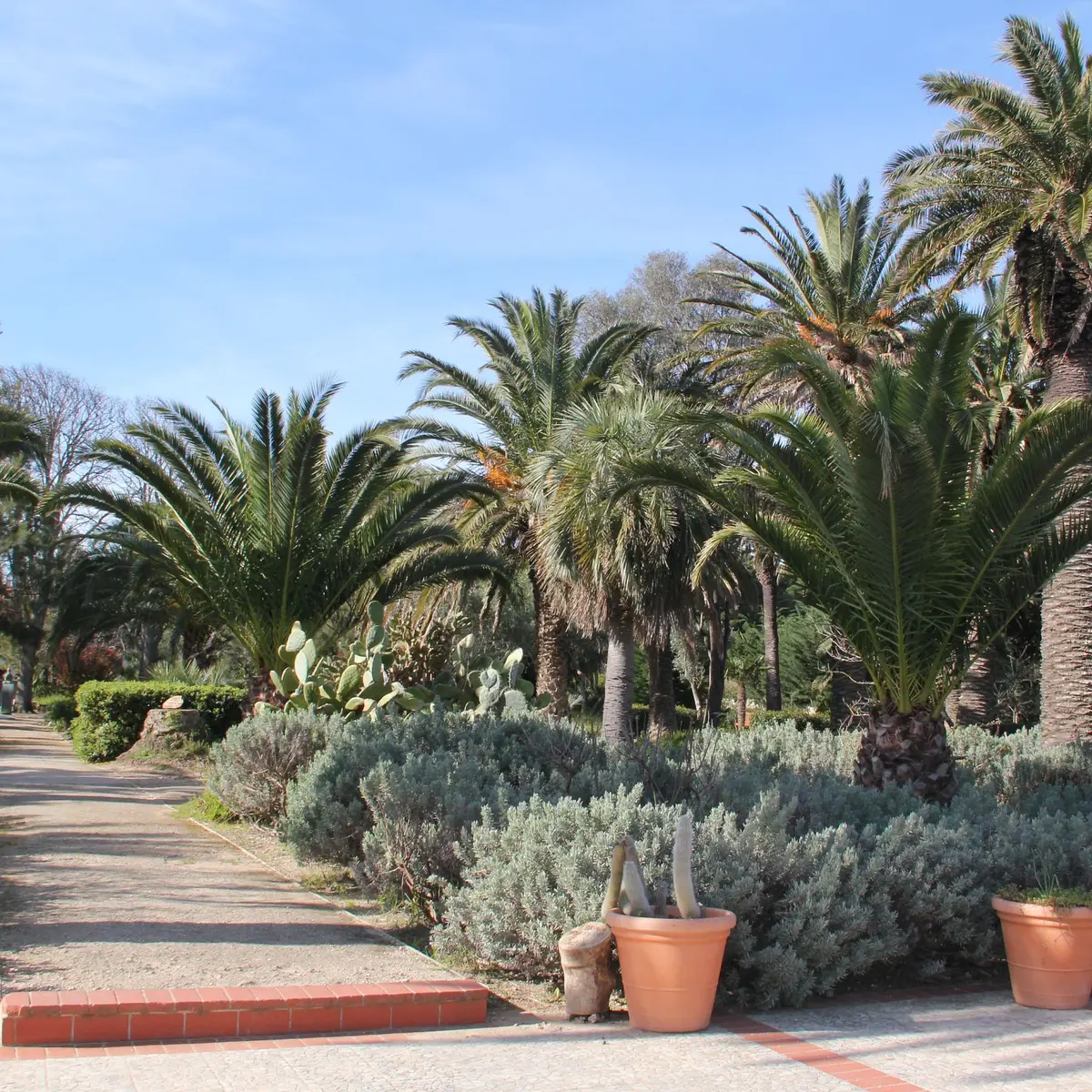 Jardin Emmanuel Lopez