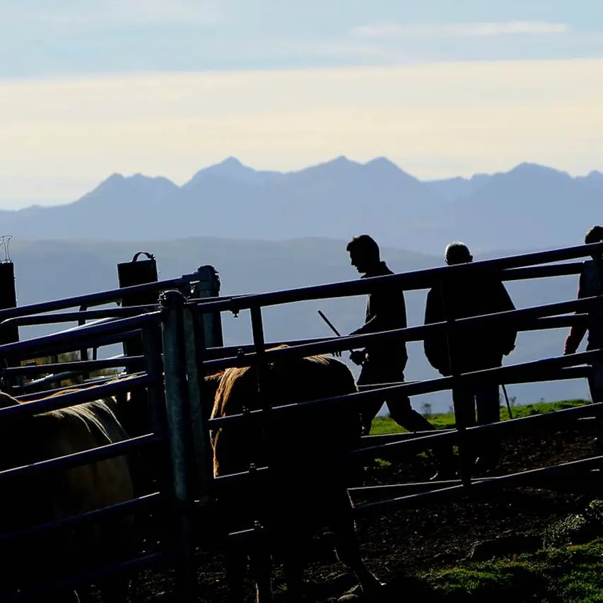 Ferme de la Cabaillère fin de journée