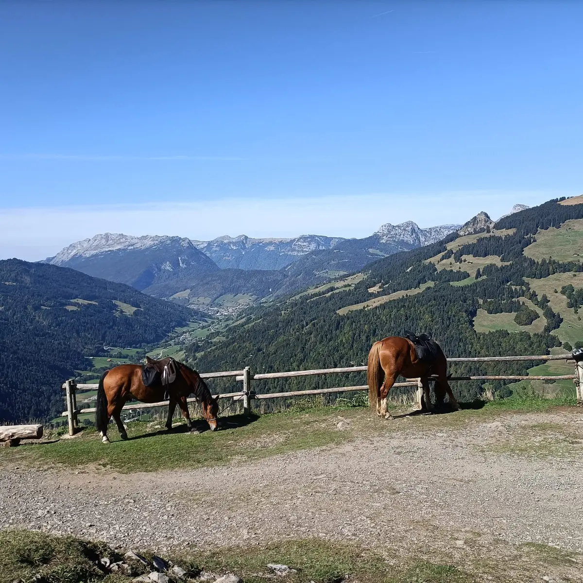 Balade à cheval au Grand-Bornand
