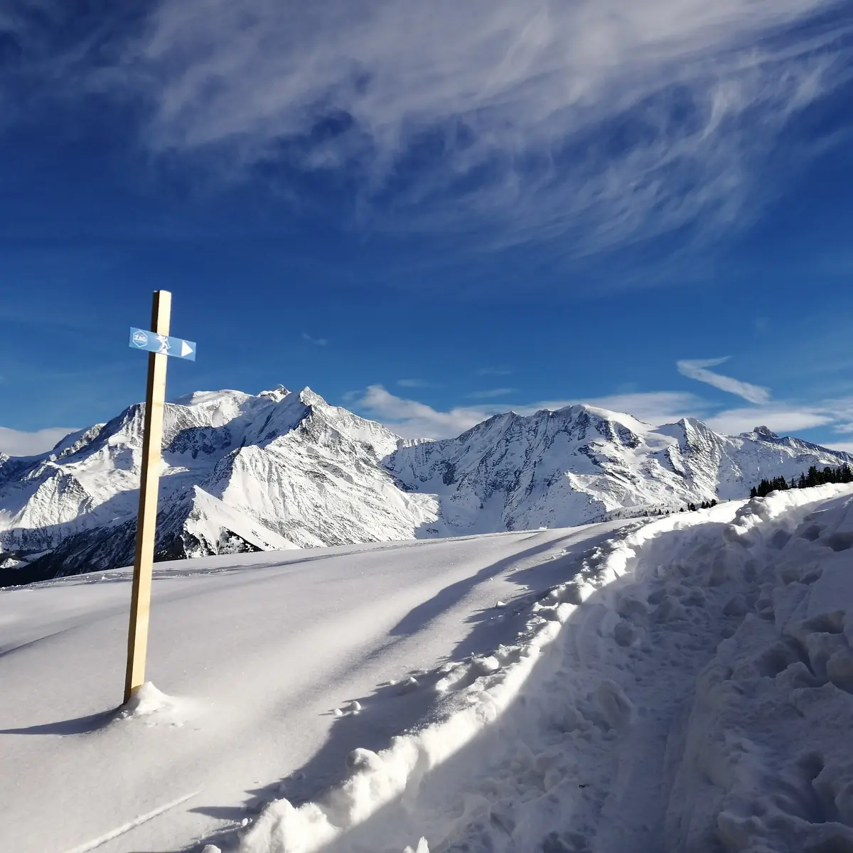 Itinéraire de ski de randonnée - Le Bettex / Sous les Freddys