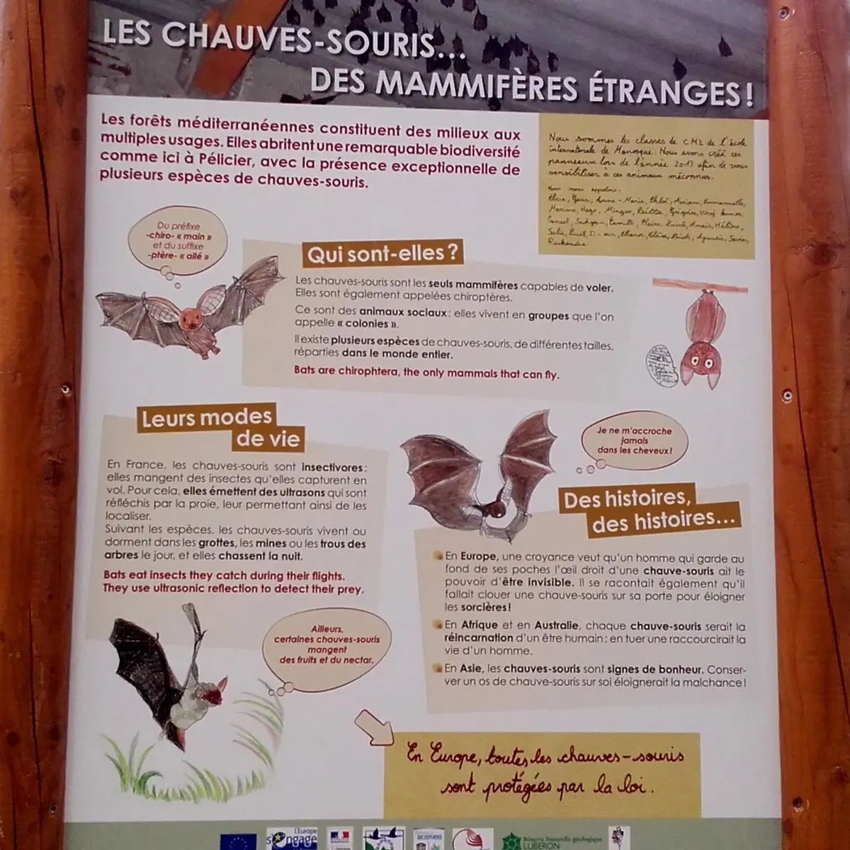 Panneau d'interprétation au Château de Pélicier