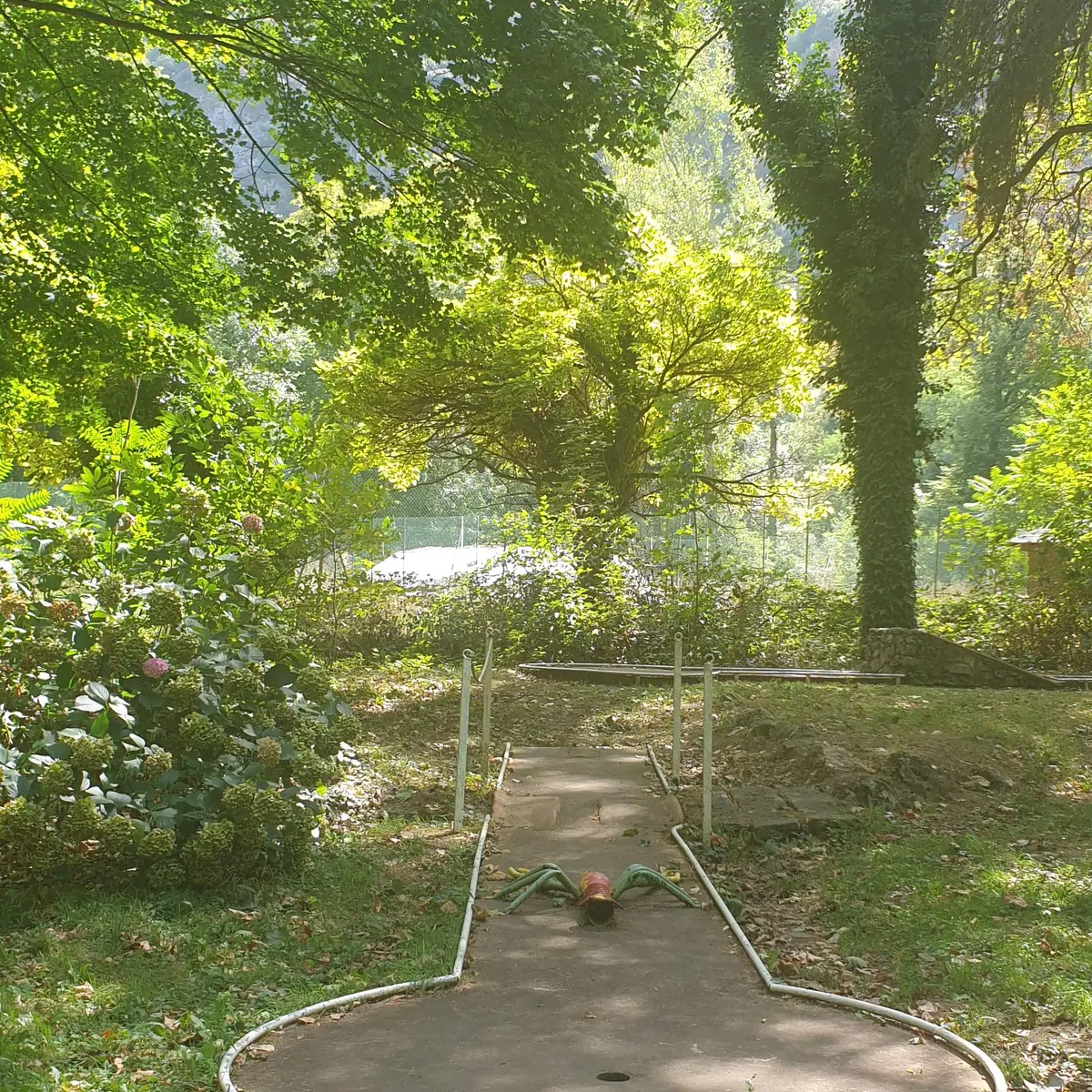 mini-golf