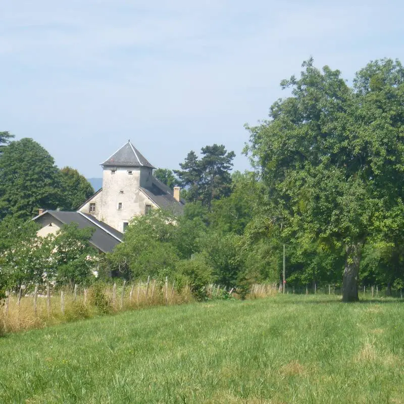 Château de Salins
