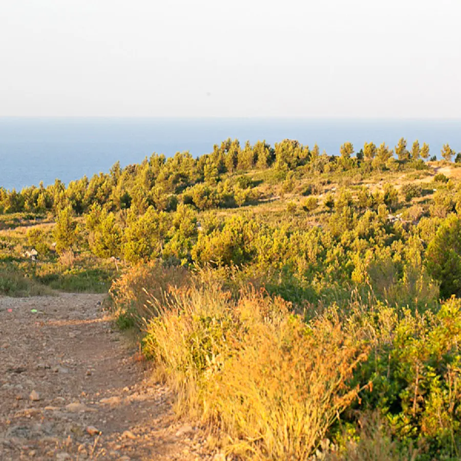 Sentier de randonnée