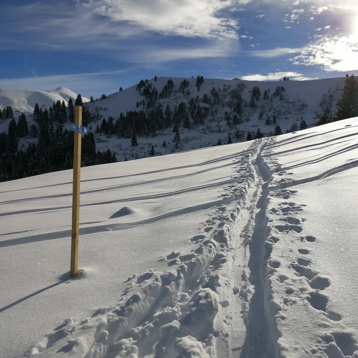 Itinéraire de ski de randonnée - Le Bettex / Sous les Freddys