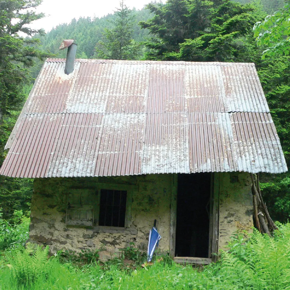 Cabane