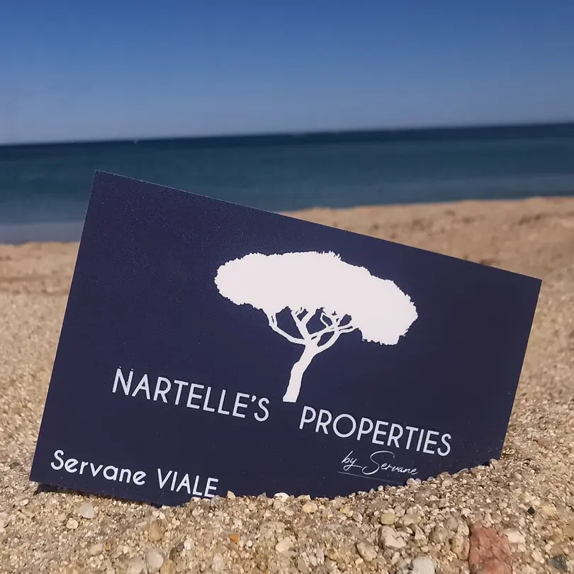 Nartelle's Properties by Servane