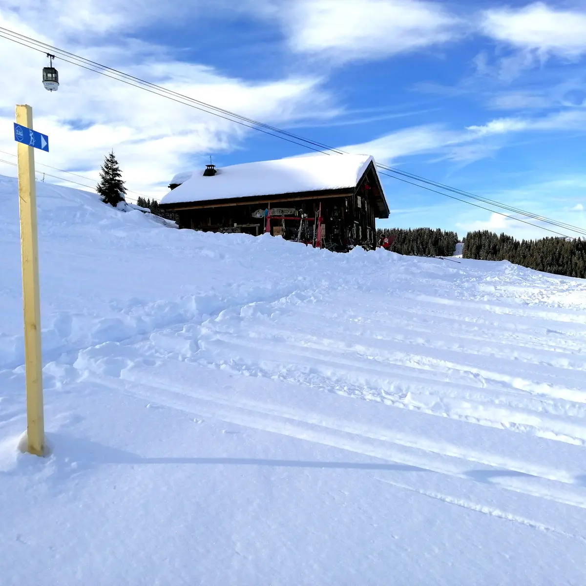 Itinéraire de ski de randonnée - Le Bettex / Sous les Freddys
