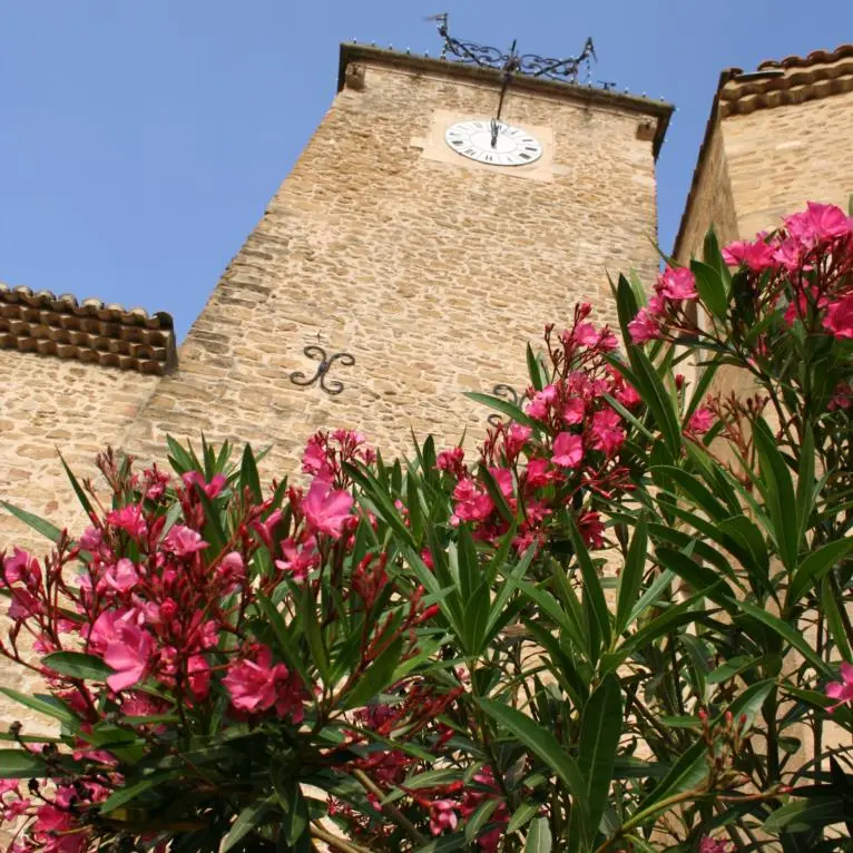 Lauriers roses et Beffroi