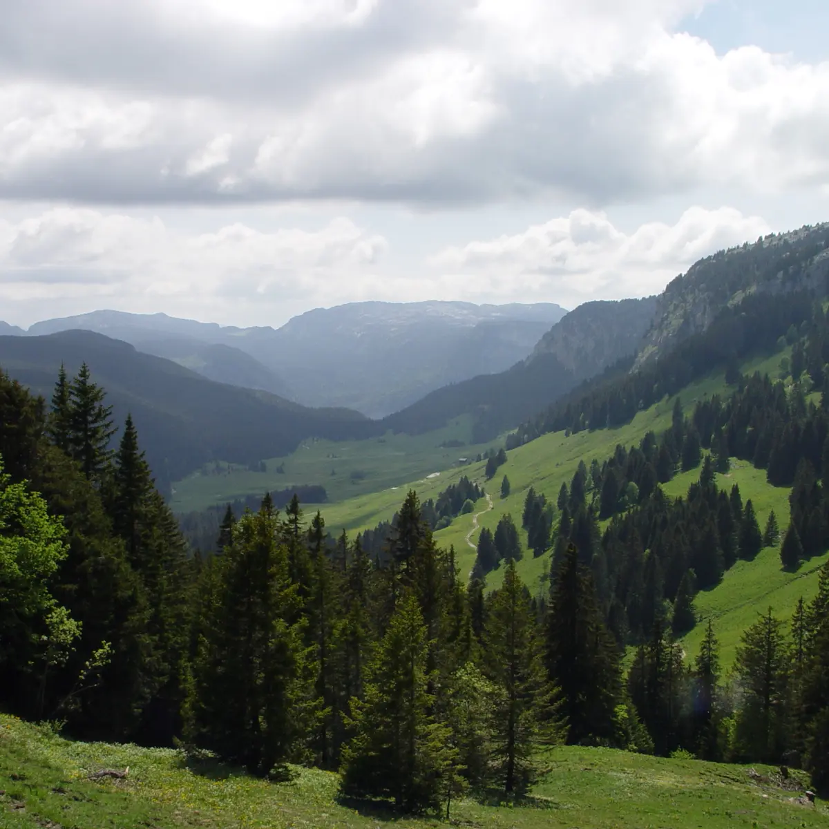 Montagne des Frêtes