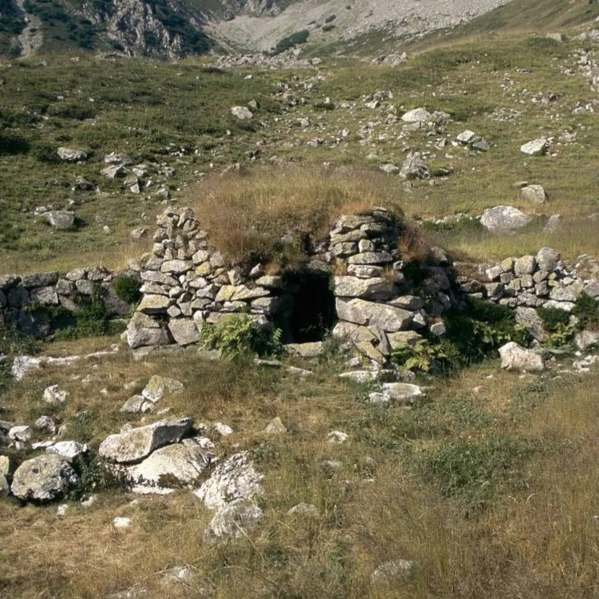Vallon des six cabanes