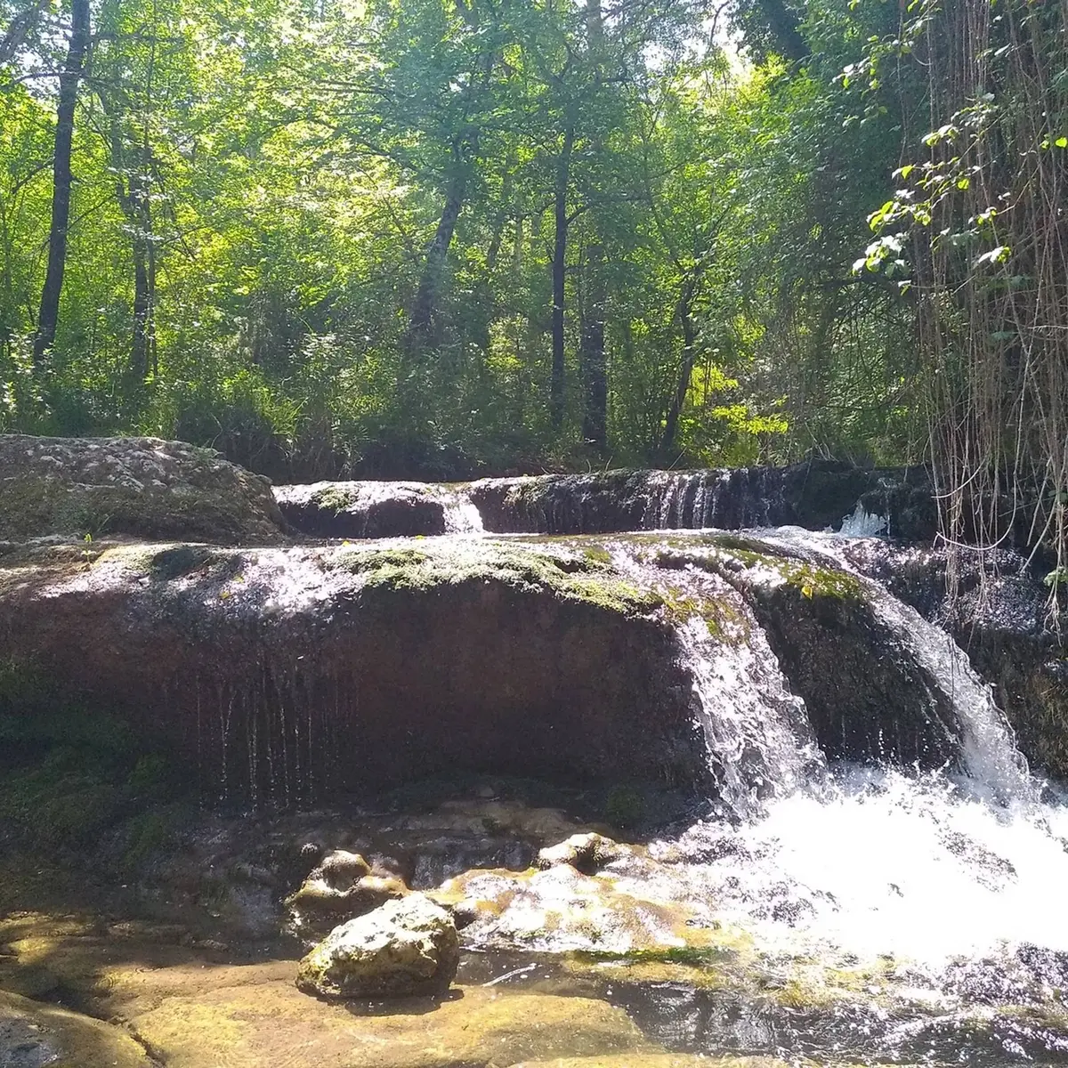 Petite chute d'eau en zone ombragée par la forêt avoisinante
