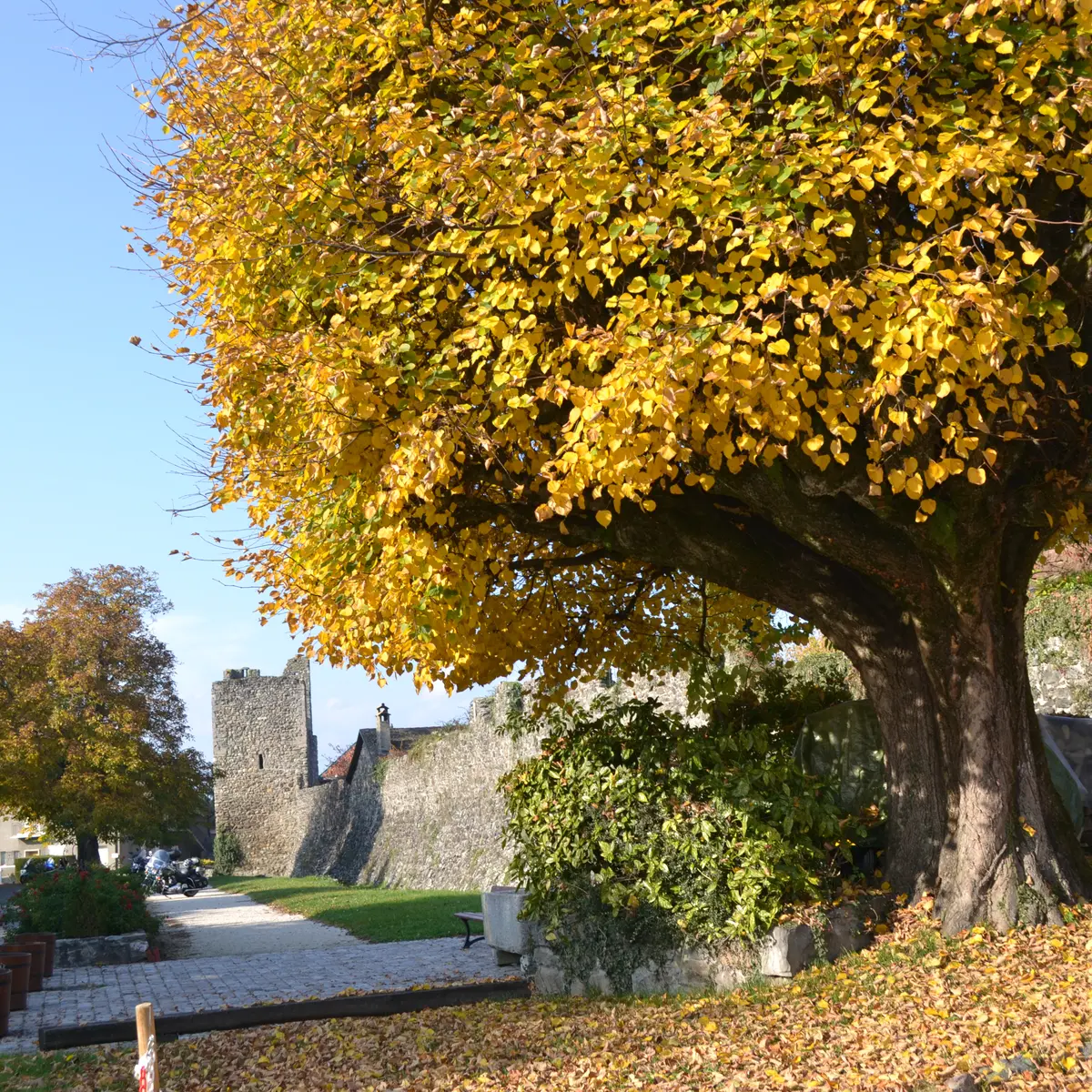 les remparts depuis la place de la mairie