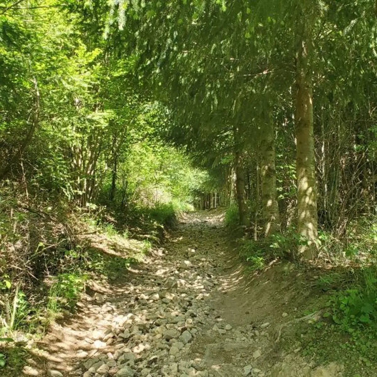 Sentier menant à la Croix de Chirol
