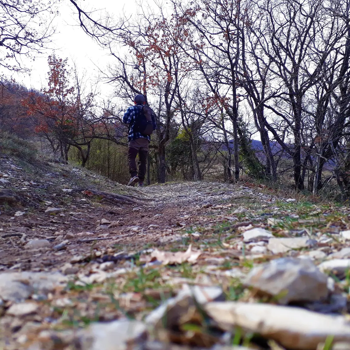 Sur le tour de Saint-Domnin