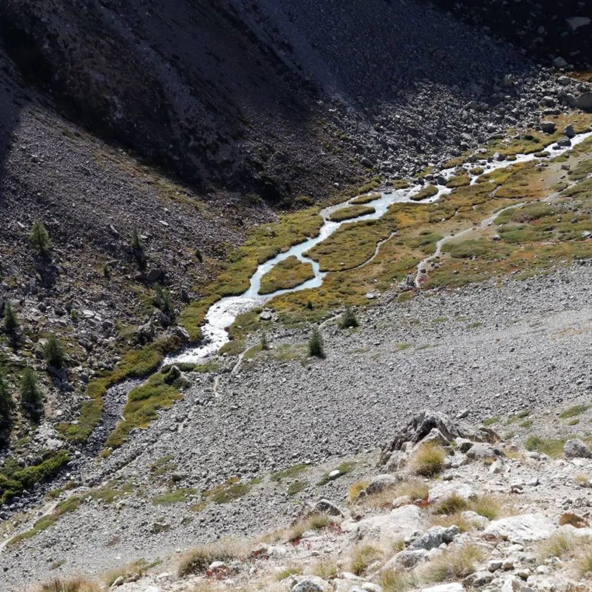 Le vallon du Petit Tabuc