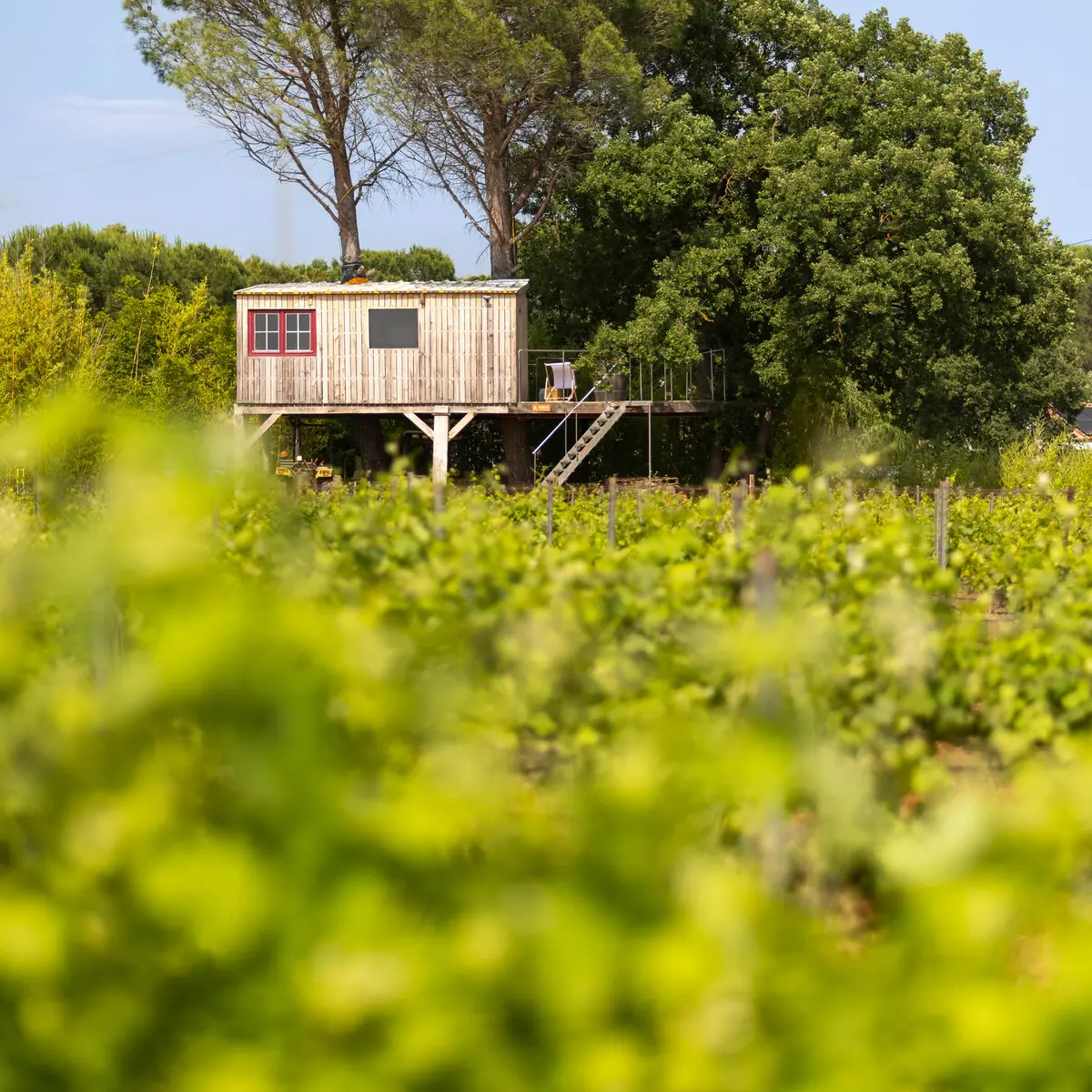 Domaine Les Arbillons_Vidauban