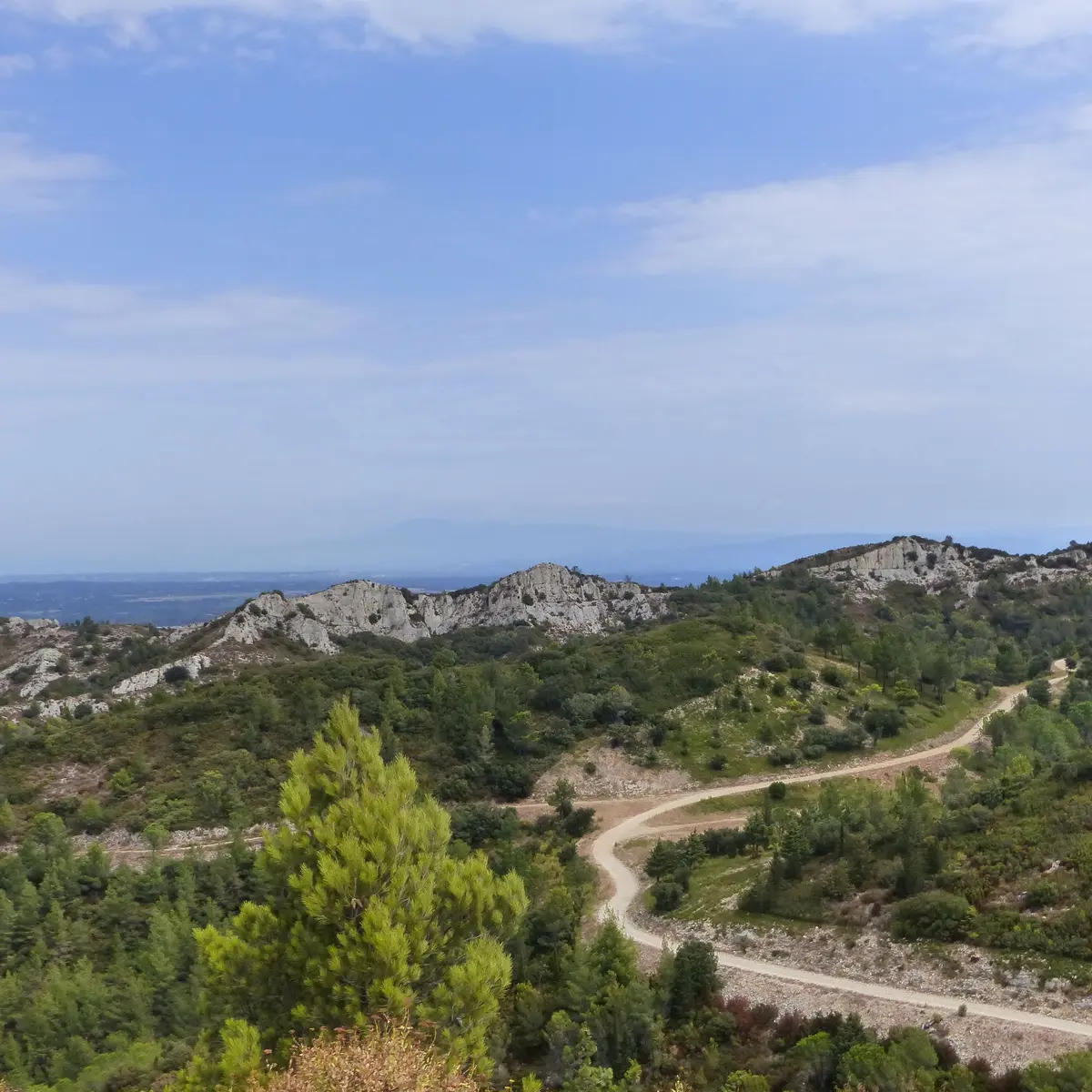 Sur les hauteurs de Baumayrane