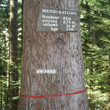 mensuration en 1986