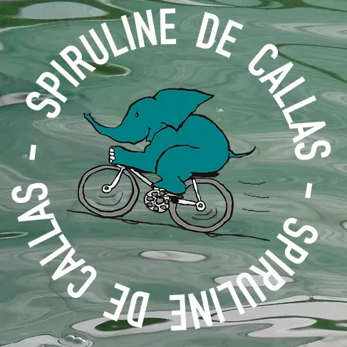 Spiruline de Callas