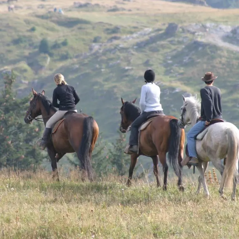 Randonnées à cheval