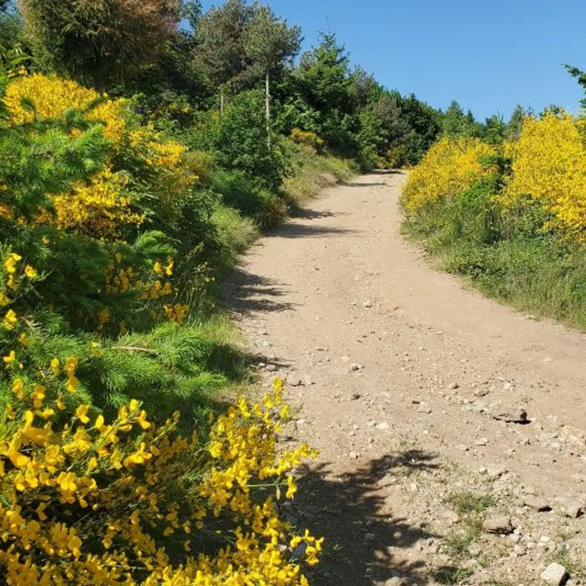 Sentier menant à la Croix de Chirol