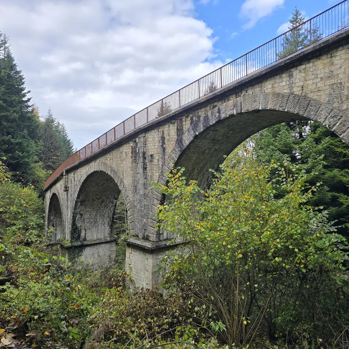 Sur les traces de la crémaillère_Viaduc