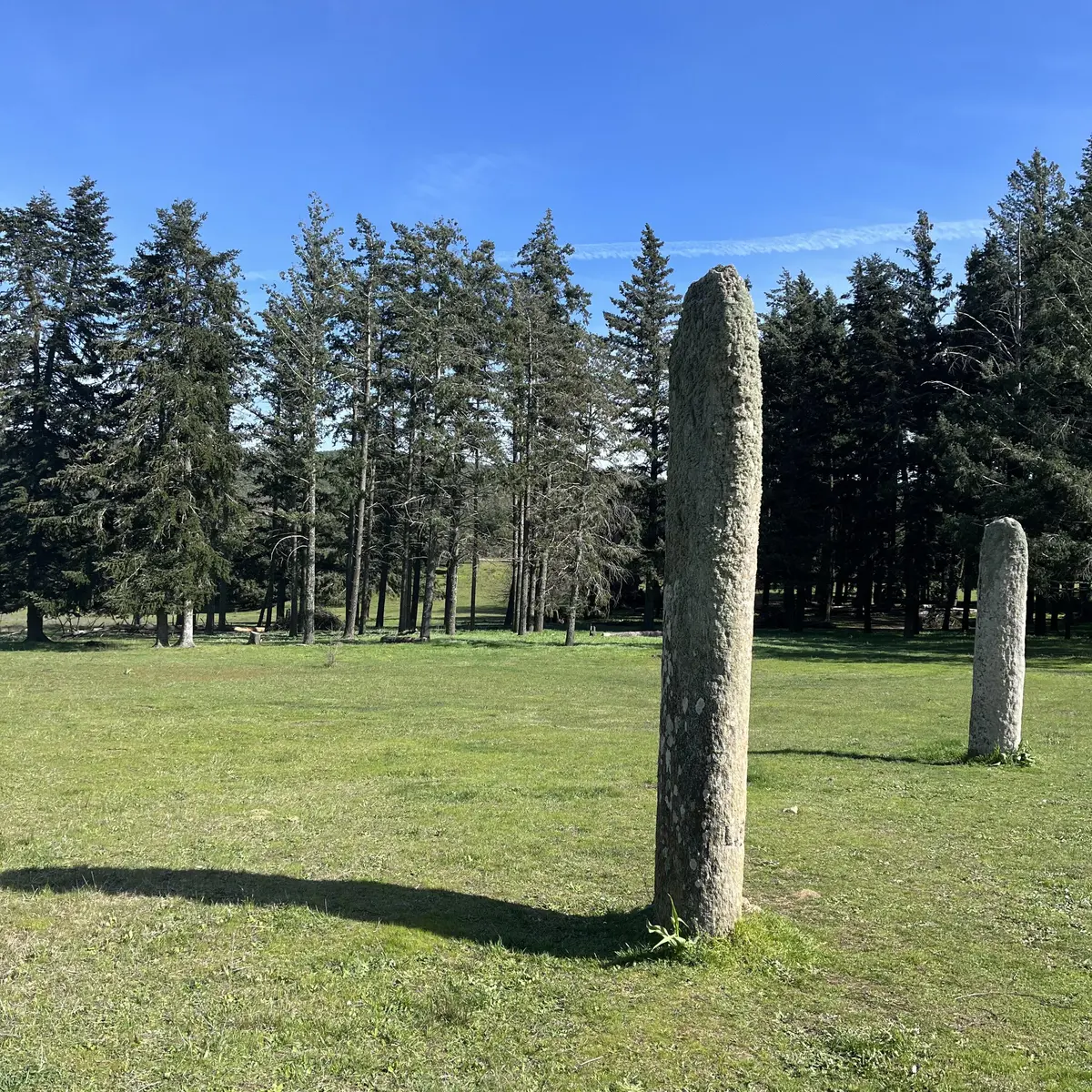 Menhirs du Plateau Lambert