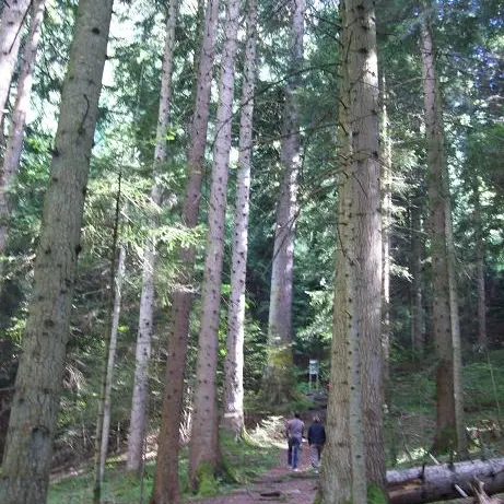 sentier d'accès