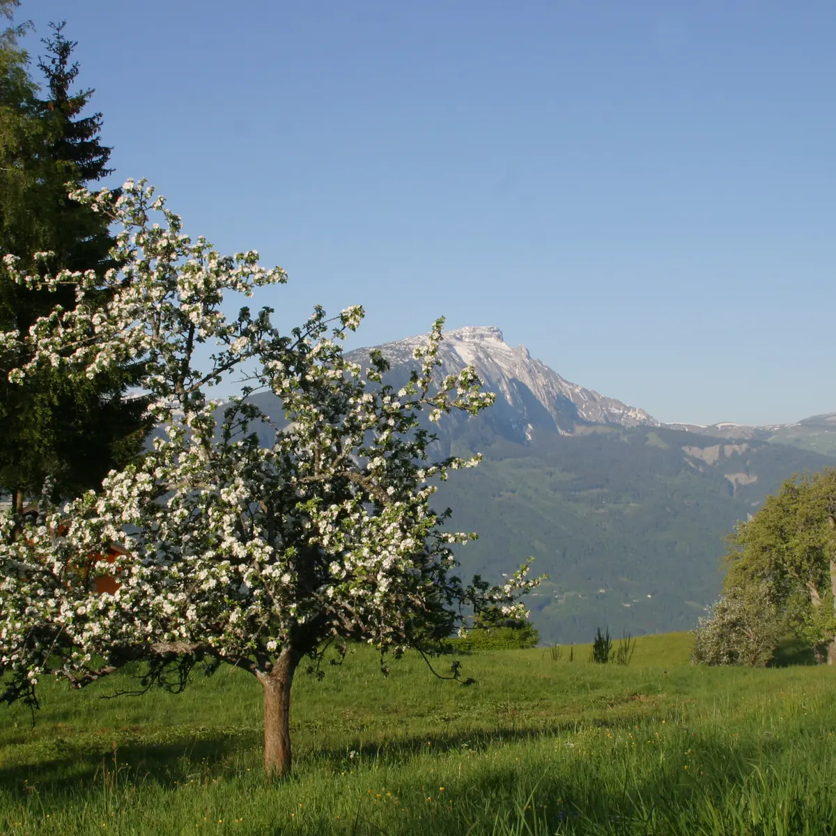 Saint-Sigismond