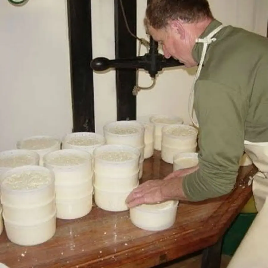 fromageaixlesbainsrivieradesalpesgaecdelacluse