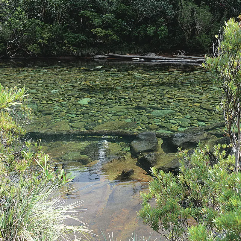 La rivière Bleue