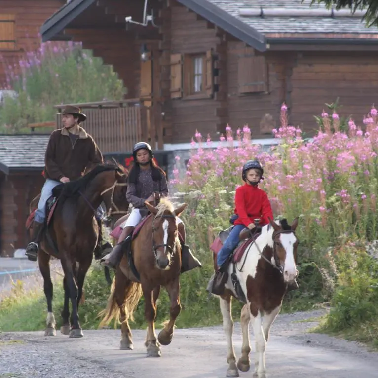 Randonnées à cheval